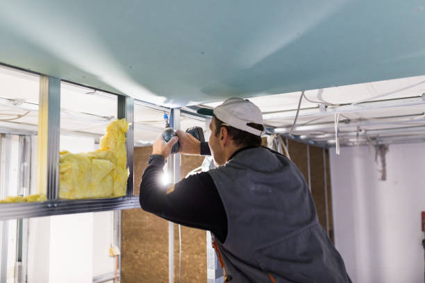 Best Insulation Maintenance and Repair in Lake Mills, IA